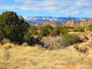 Lot 1B Arroyo Largo, Ojo Caliente, NM 87549