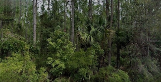 0 Song Sparrow St, Palatka, FL 32177