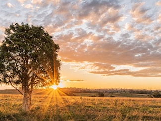 LOT 66 121 Oak Hollow Ct, Cat Spring, TX 78933