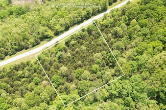 Lot 59 Walnut Springs Dr, Washington Township, MO 65624
