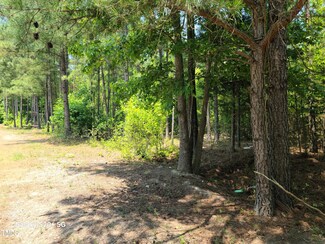 0 N Hacienda Ln, Sandy Creek, NC 27537