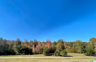 Lot #3 Alabama 75 Unit 1, Oneonta, AL 35121