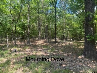 Lot 14 Mourning Dove Ln, Mount Vernon, TX 75457