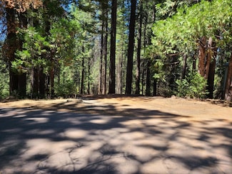 829 Honey Ct, Arnold, CA 95223