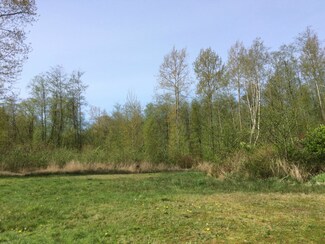 0 Stein Hill Ln Unit 765973, Custer, WA 98240