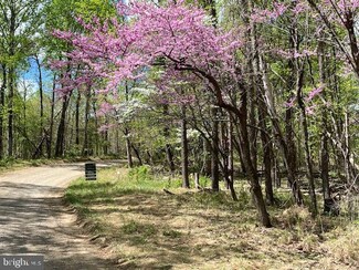 Lot 72 Calmes Neck Ln, Boyce, VA 22620