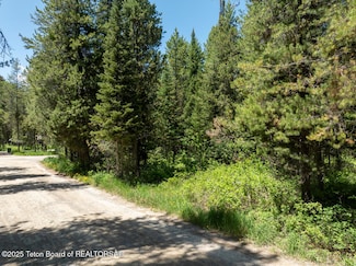 31 Pine St, Alpine, WY 83128