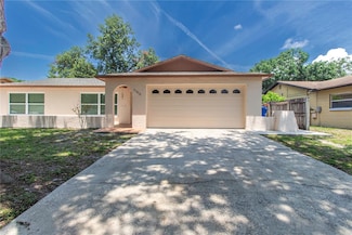 11210 Wheeling Dr, Tampa, FL 33625