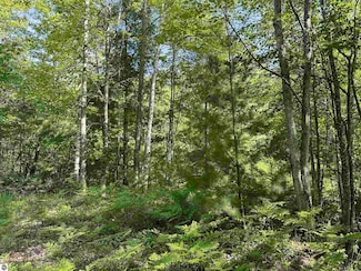 0 Fern Ave, Cadillac, MI 49601