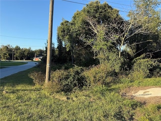 0 Chestnut Rd Unit MFROM712846, Ocala, FL 34472