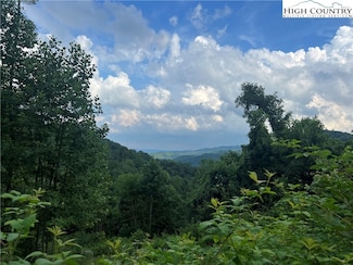 TBD Lot 2 Elk Creek Rd, Deep Gap, NC 28618
