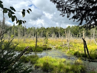 1.4 Farr Rd Unit 4, Ohio, NY 13324