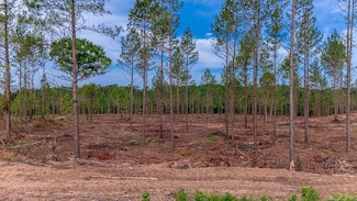 LOT #2 Grant 55, Hensley, AR 72065