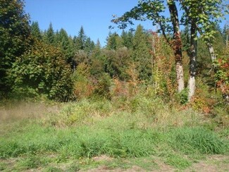 154 Ashfield Rd, Randle, WA 98377