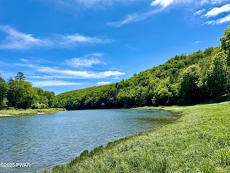 564A Peggy Runway Rd, Beach Lake, PA 18405