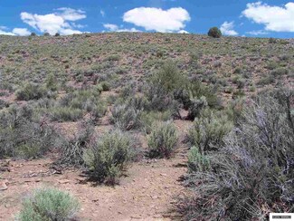 3700 Andesite Rd, Wellington, NV 89444