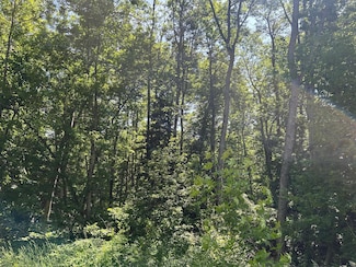 TBD Town Road 7, Northome, MN 56661