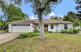 475 Norris Ln, Lake Helen, FL 32744