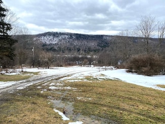 0 Brad Adams Rd, Wellsville, NY 14895