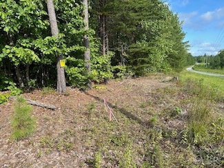 0 Lemon Ridge Ln Unit 354457, Piney Mountain, VA 24522