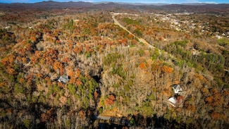 208 Bullen Gap Rd, Blue Ridge, GA 30513