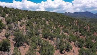 00 Deer Haven Trail, Hi Rls Mountain Park, NM 88325