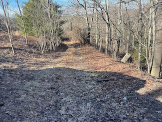 0 Mason Dixon Hwy, Garrett, PA 15542