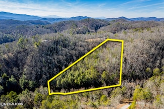 0 Raymond Way, Cosby, TN 37722