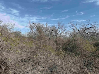 Lot 275-282 Aspermont Dr, Kingsland, TX 78639
