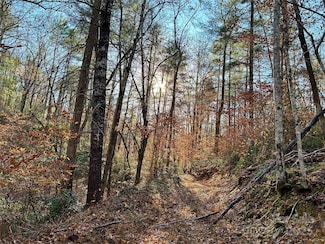 0 County Line Rd, Rutherfordton, NC 28139