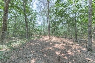 769 Rockhouse Rd, Waleska, GA 30183
