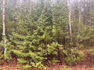 Lot 231 Sunaqua Dr, Presque Isle, MI 49777