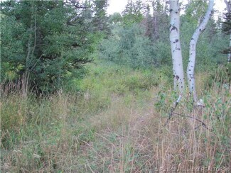 2215 Aspen Ridge Cir, Wanship, UT 84017