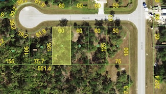 107 Paseo Ct, Rotonda Lakes, FL 33947