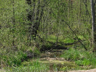 Lt0 E Reed St, Wittenberg, WI 54499
