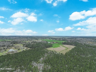 0 Highway 43 Parcel 2, Kiln, MS 39556