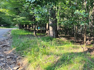 Lot 8 Apache Trail, Fancy Gap, VA 24328