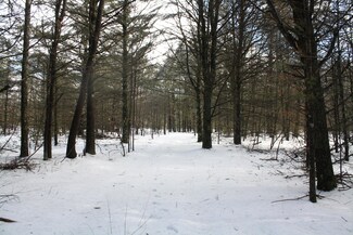 V/L Brunswick Rd, Holton, MI 49425