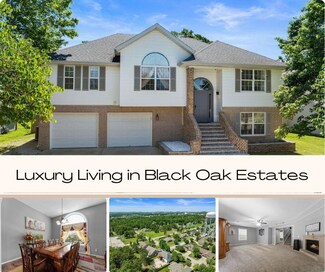 104 Sapling Dr, Branson, MO 65616