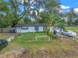 7503 Altaloma St, Tampa, FL 33625