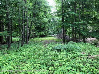 0 Driftwood Dr, Watertown Township, MI 48820