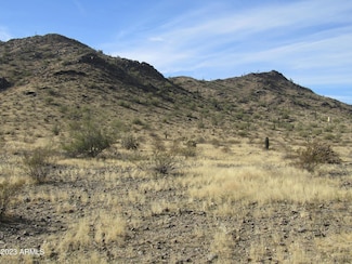 0 W Lantern Rd Unit 6636311, Maricopa, AZ 85139