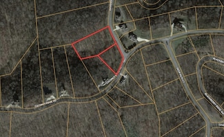 0 Davidson Rd Unit RTC3013917, Smithville, TN 37166