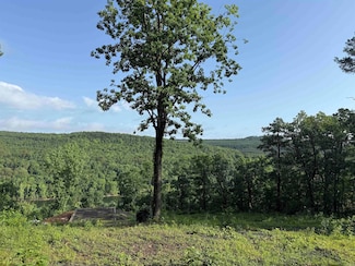Lots 1,2,3,5 Island View Dr, Greers Ferry, AR 72067