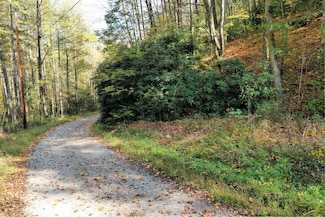 Vl25 Mountain Forest Estates, Sylva, NC 28779