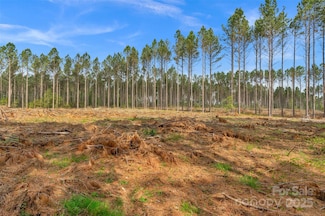 0 Lynn Rd Unit 4 CAR4245260, Fort Lawn, SC 29714