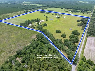 8979 170th Terrace, McAlpin, FL 32062