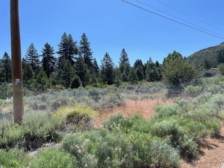 566 Longhorn Dr, Loyalton, CA 96118