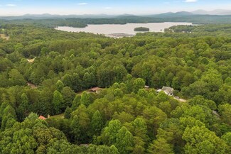 161 Bluebird Ln, Blue Ridge, GA 30513