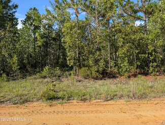 310 Lake Lucy Cir, Interlachen, FL 32148